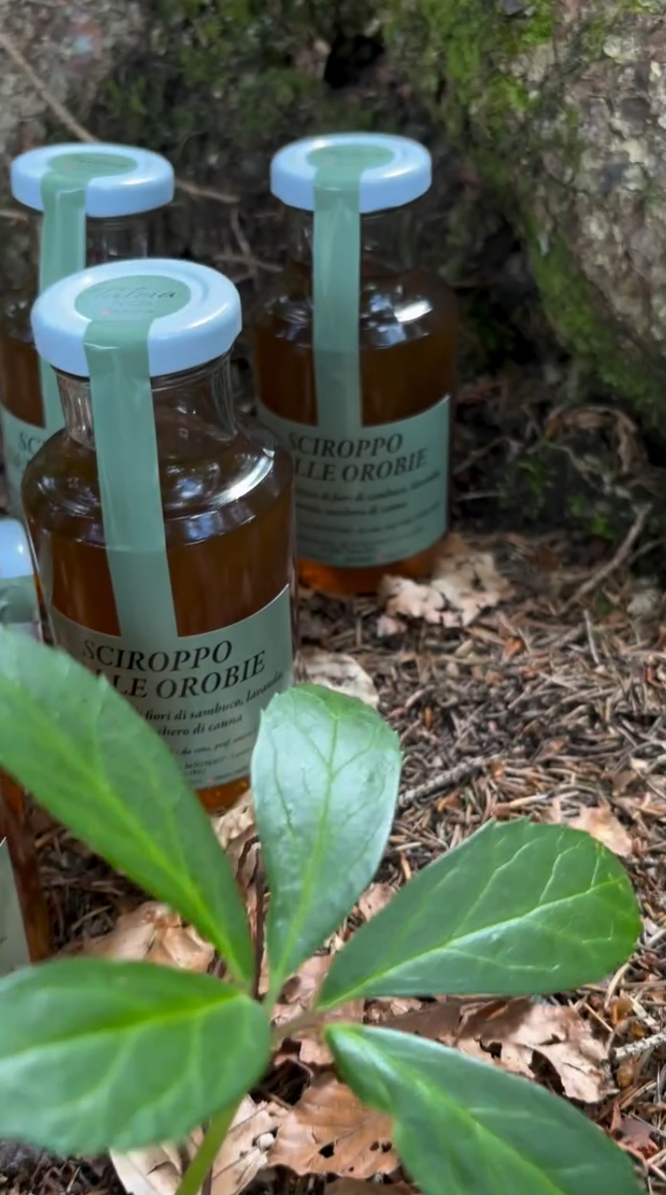 SCIROPPO - Sciroppo delle orobie 250g