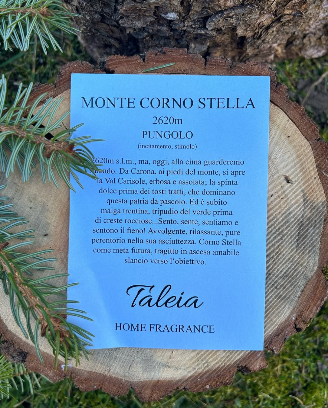 MONTE CORNO STELLA - Profumatore auto