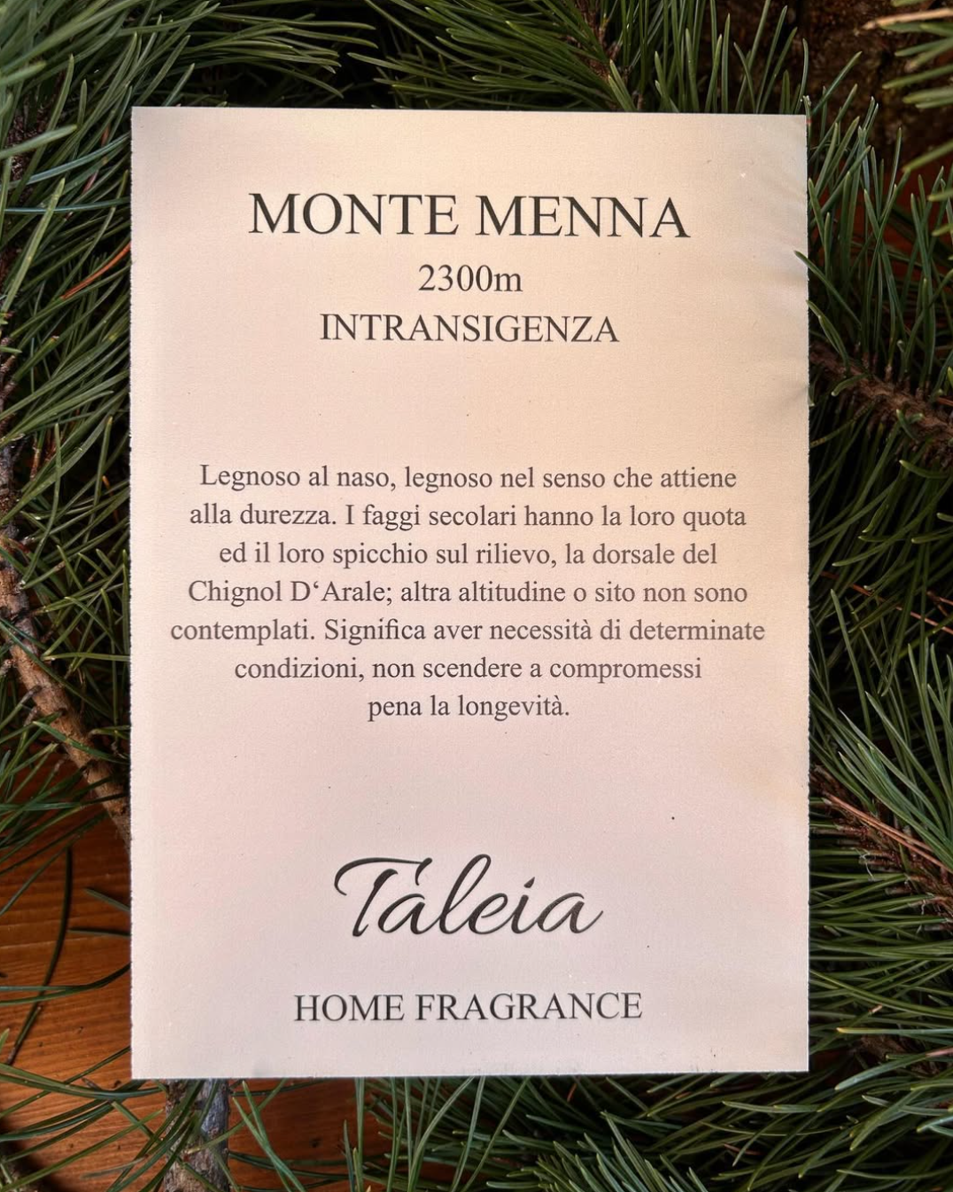 MONTE MENNA - Profumatore auto