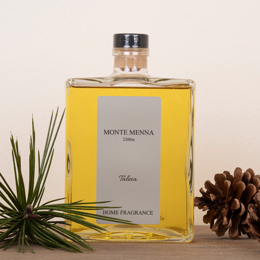 (Su prenotazione) Diffusore a midollini 1L