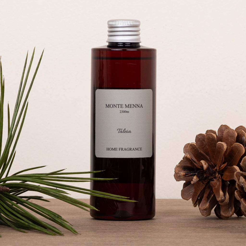 MONTE MENNA - Ricarica spray tessuto ambiente 200ml