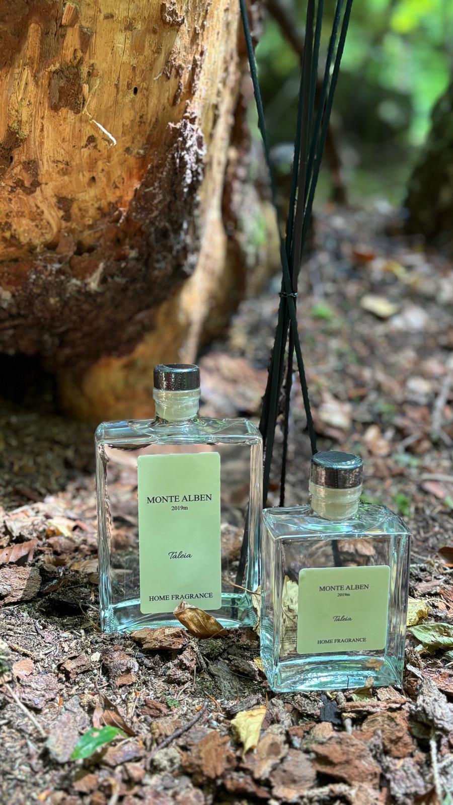 MONTE ALBEN - Diffusore a midollini 200ml